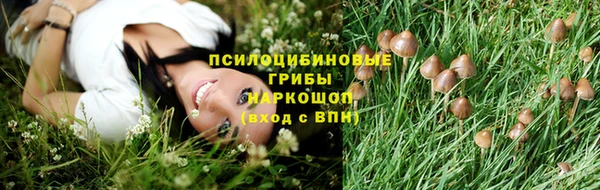 ГАЛЛЮЦИНОГЕННЫЕ ГРИБЫ Лихославль