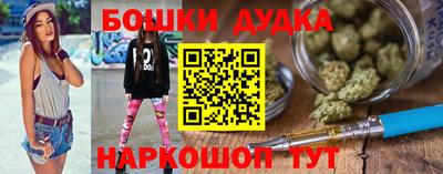 стафф Кингисепп