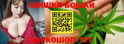 стафф Кингисепп