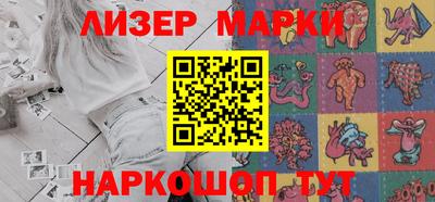 стафф Кингисепп