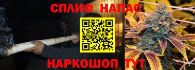 стафф Кингисепп