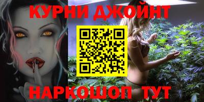 стафф Кингисепп