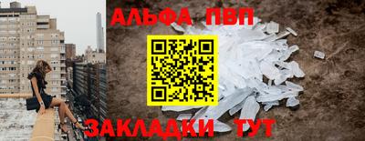 стафф Кингисепп