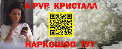 стафф Кингисепп