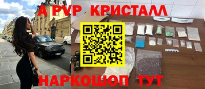 стафф Кингисепп