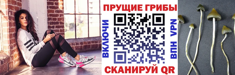 Псилоцибиновые грибы Magic Shrooms  Ульяновск 