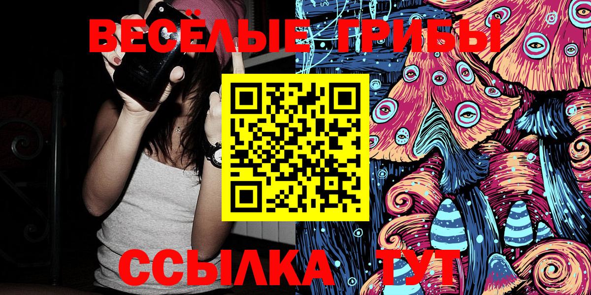 купить  сайты  Ульяновск  Псилоцибиновые грибы Magic Shrooms 