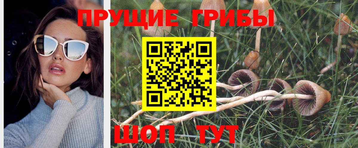 МЕФ Ульяновск