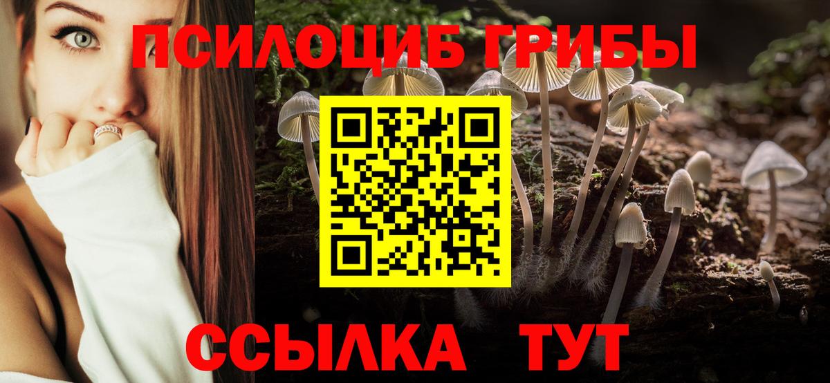 Ульяновск  Галлюциногенные грибы GOLDEN TEACHER  Вход с VPN  Псилоцибиновые грибы Cubensis 